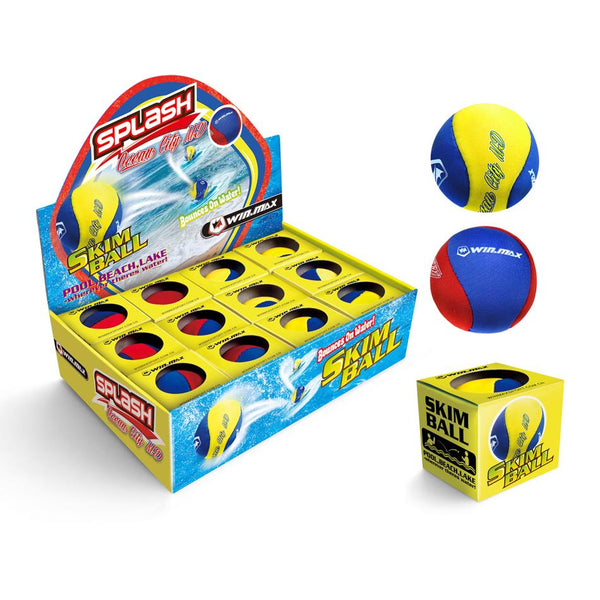 Swimming Pool Skim Ball